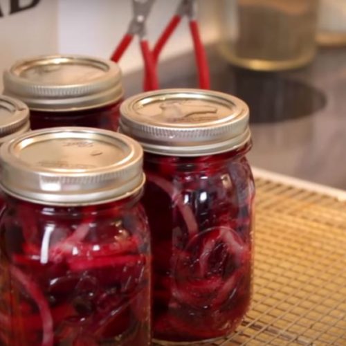 Canned beet recipes