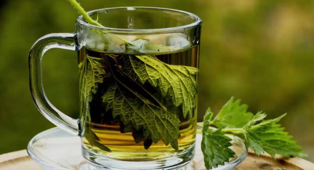 PARSLEY TEA THE HEALTHPACKED CURE! Graphic Recipes