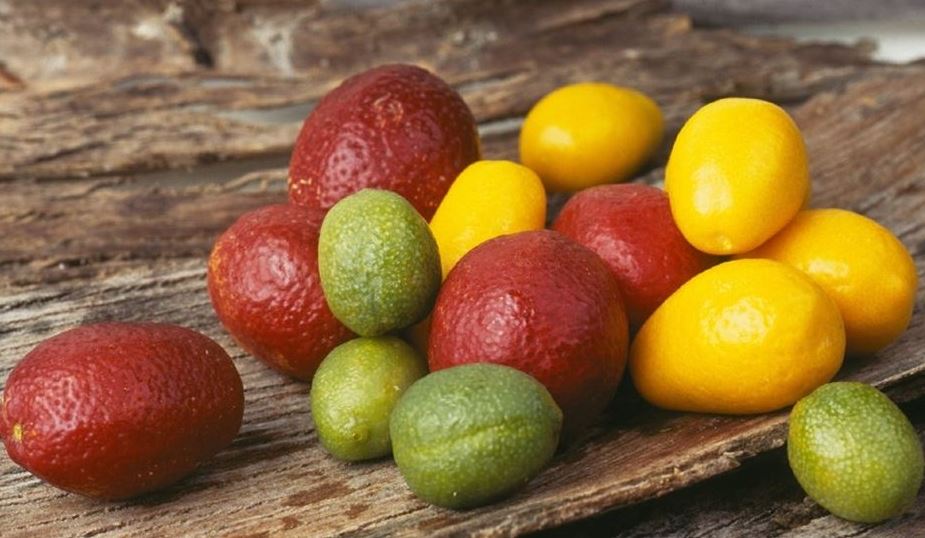 AUSTRALIAN DESERT LIMES