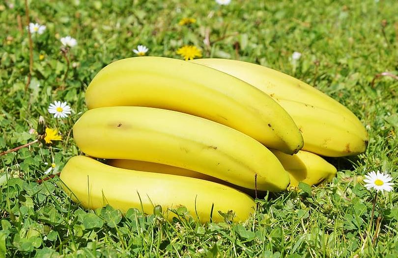 How many bananas in a pound? Find out the portion measurements of