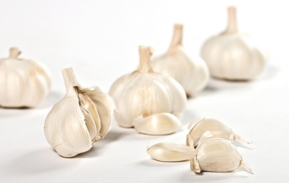 clove of garlic